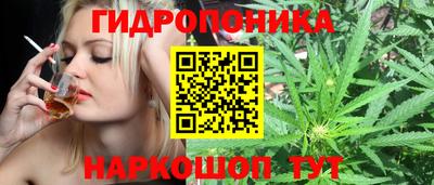 МДПВ Новозыбков