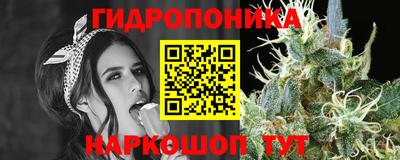 гашишное масло Новодвинск
