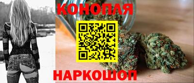 МДПВ Новозыбков