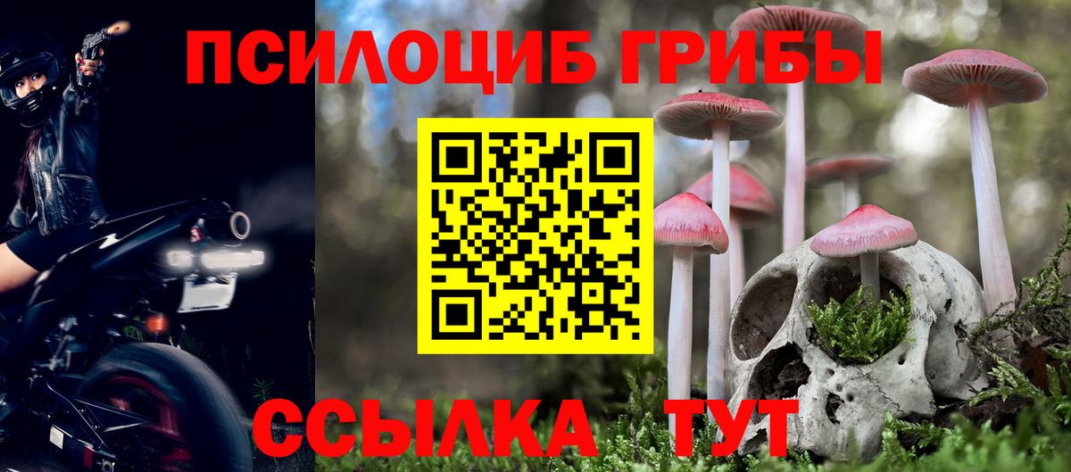 Галлюциногенные грибы прущие грибы  Вход с VPN  Тара 